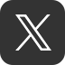 X icon