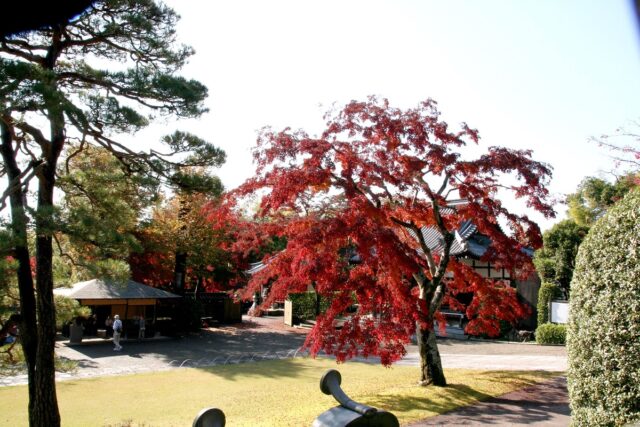 散策レポート 飯能市の紅葉スポット巡り 街プレ倶楽部 街歩き心の風景 街プレ 東京 西多摩の地域情報サイト