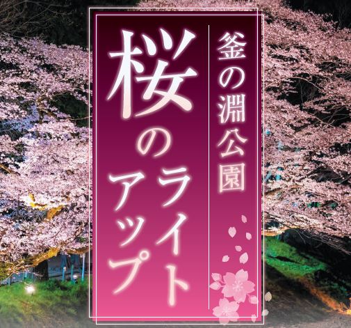 釜の淵公園　桜のライトアップ