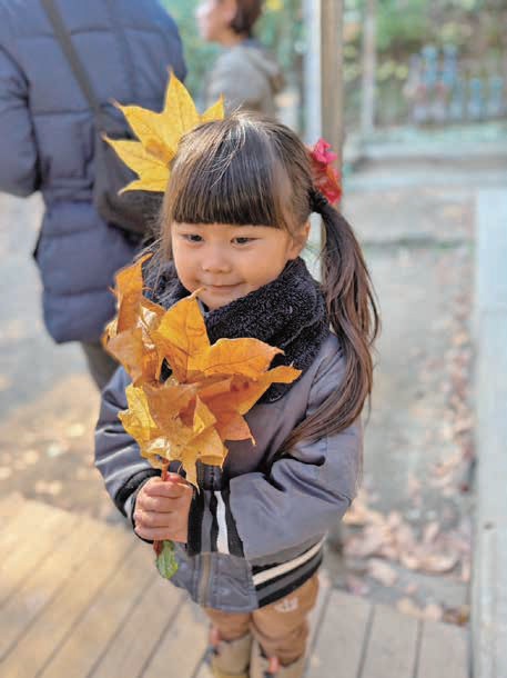 キレイに紅葉したイタヤカエデの葉っぱでお姫様に変身！