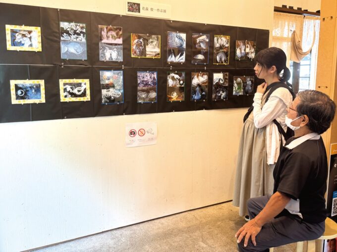 訪れた観光客に写真を解説する花森さん（手前）