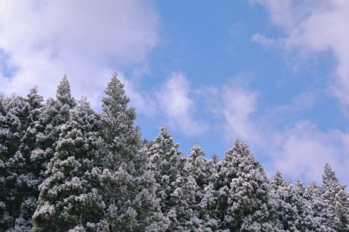 今年の冬は冷えるかな　檜原村で氷瀑クイズ応募受付始まる