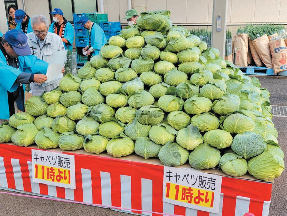 大迫力のキャベツのピラミッド