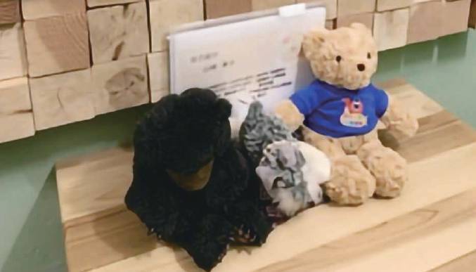 動作療法の癒しブース