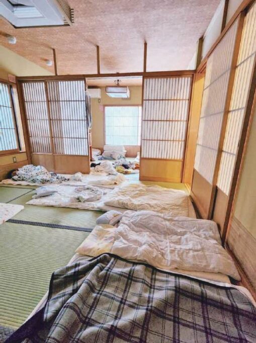 どろん子の森だより