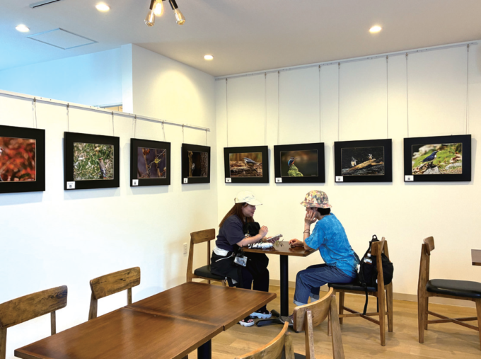 飲食スペースを活用したギャラリー開設 「奥多摩の台所」　第１弾は野鳥写真展