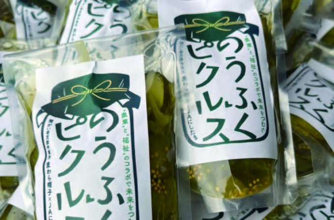 青空　台地　農の風　ＪＡにしたまと作業所「麦わら帽子」 「のうふくピクルス」を共同開発