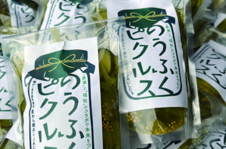 のうふくピクルス