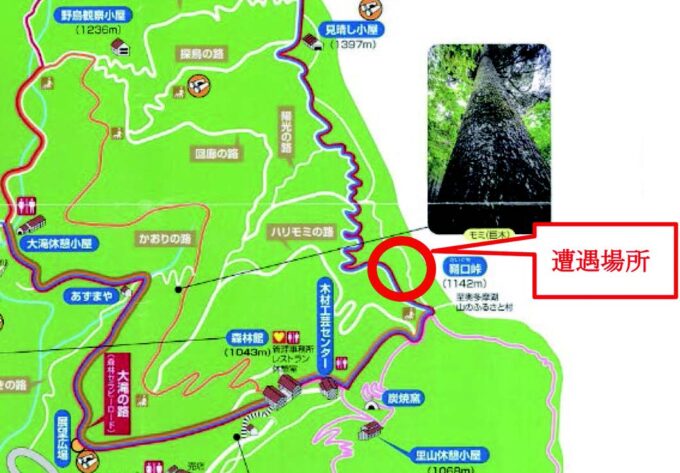 檜原村「都民の森」の登山道閉鎖　クマとの遭遇事例発生受け