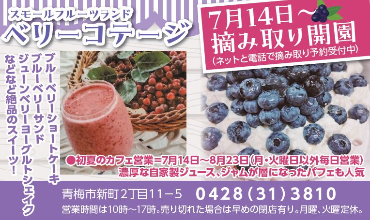 ベリーコテージ